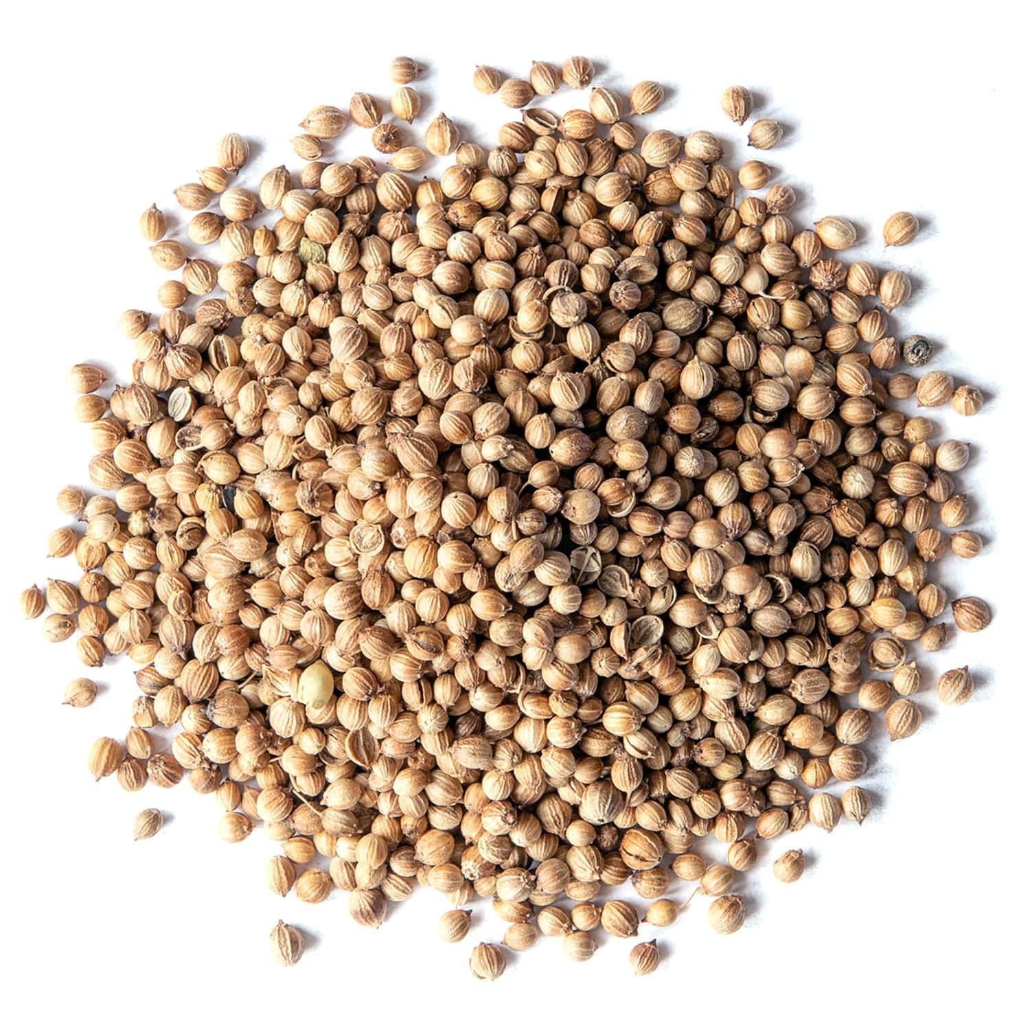 Whole Coriander Seeds 2 lbs – Organic, Non-Irradiated