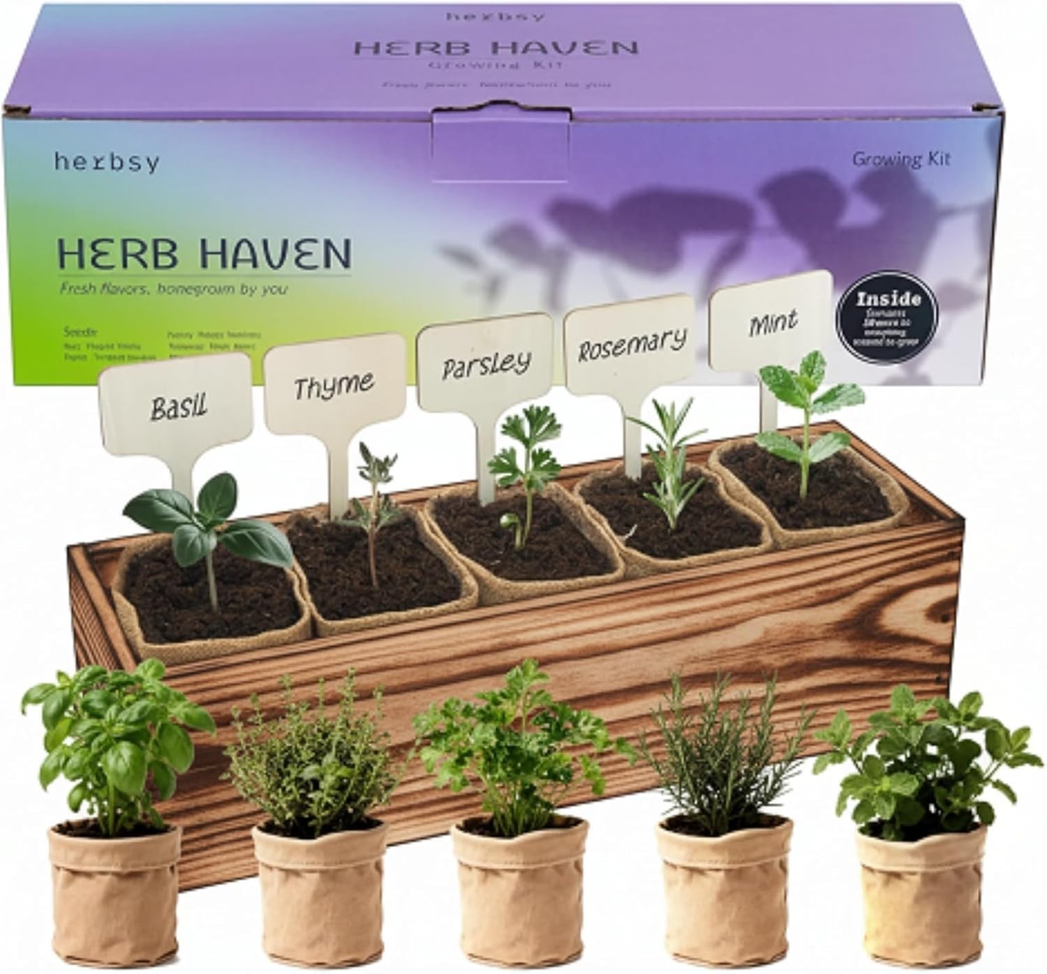 Elegant 5 Herb Garden Starter Kit – Basil, Rosemary, Mint & More for Windowsills