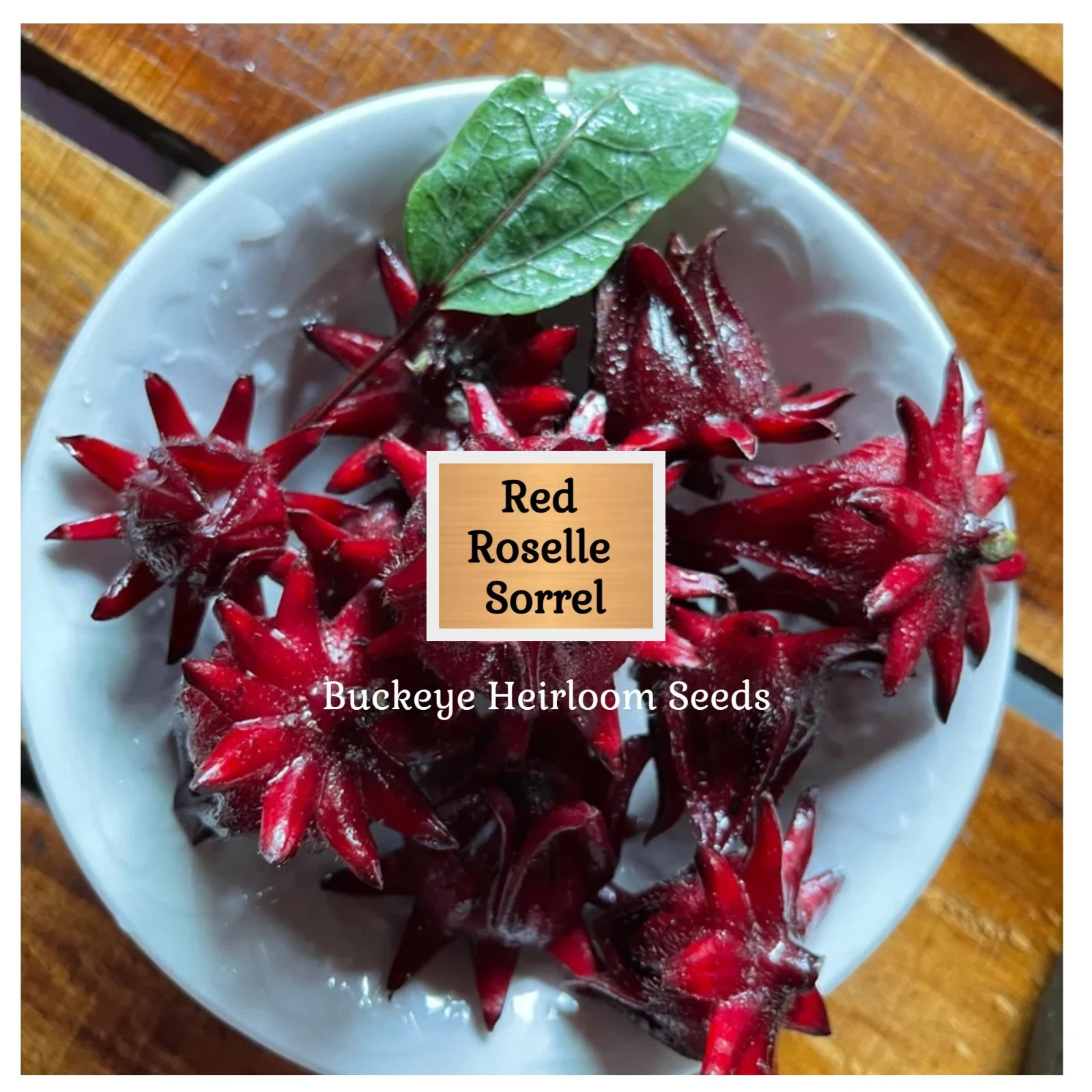 Red Roselle Sorrel | Asian Sour Leaf | 20 Seeds | Hibiscus sabdariffa