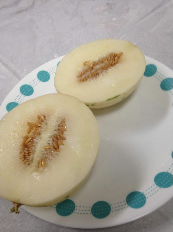 10 Snow Leopard Melon Seeds Unique Beautiful Rare White flesh fruit Asian small