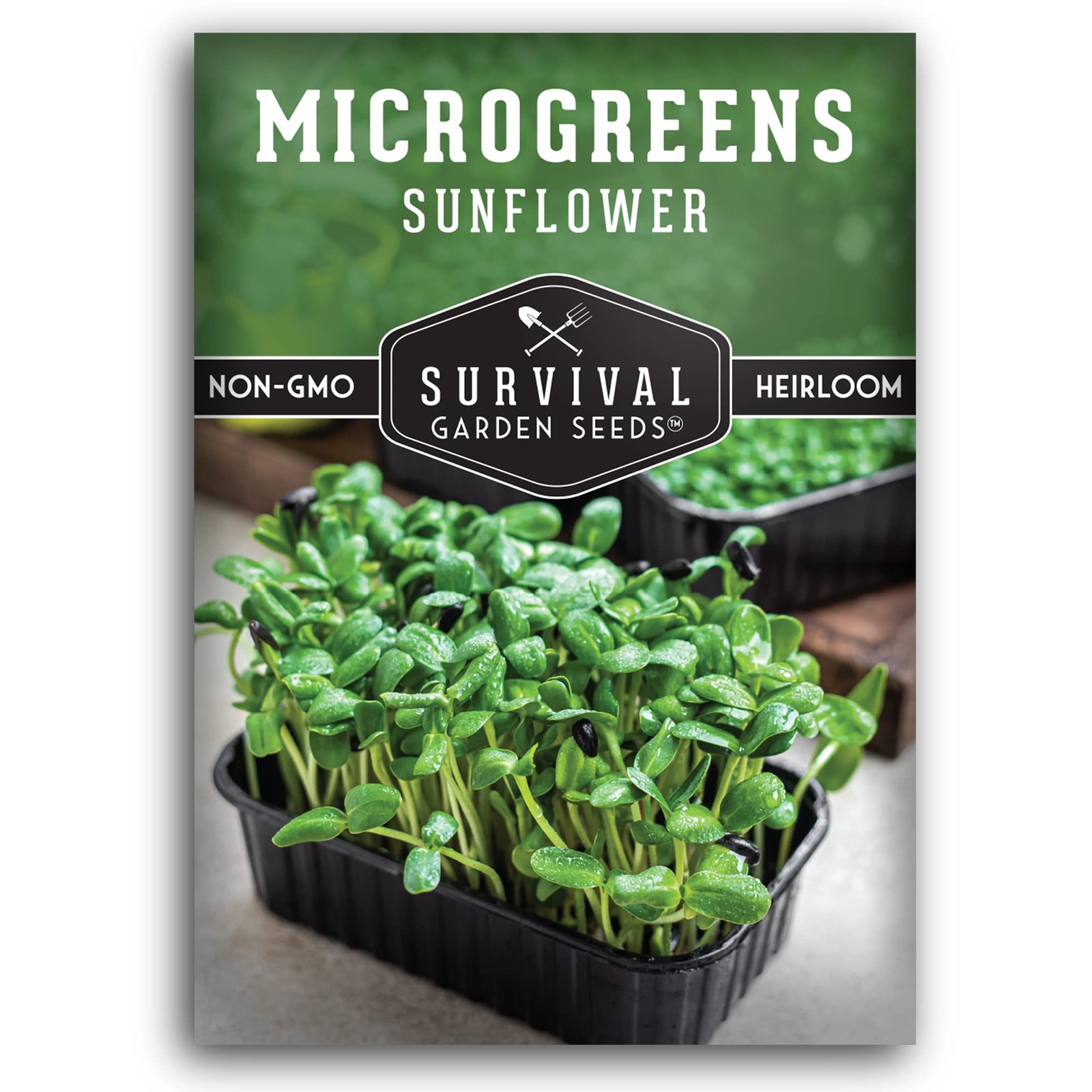 Sunflower Microgreens Seeds for Sprouting – Plant & Grow Nutty, Crunchy Shoot…