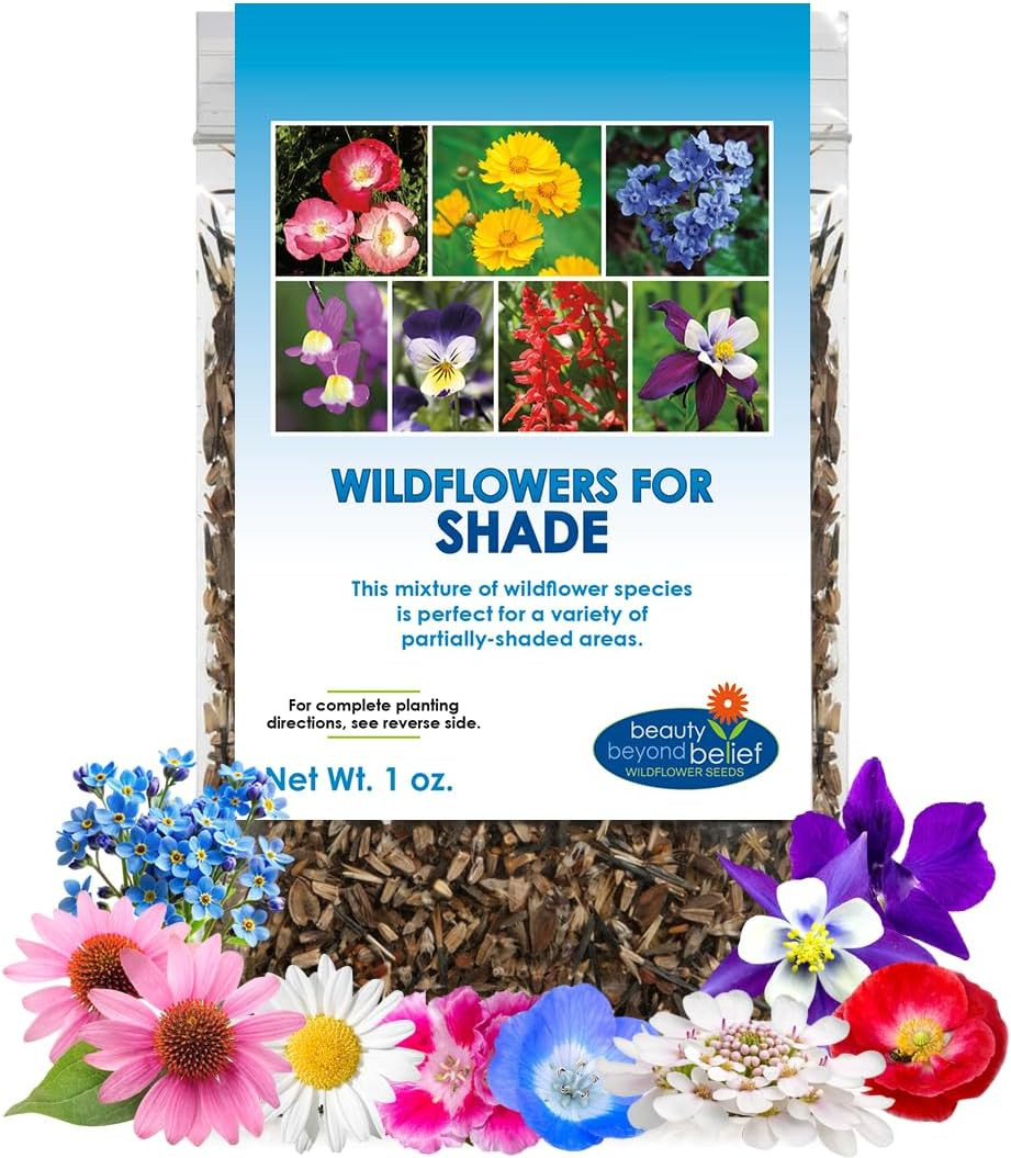 Wildflower Seed Mix for Partial Shade – 1 Oz, Annual & Perennial Blend