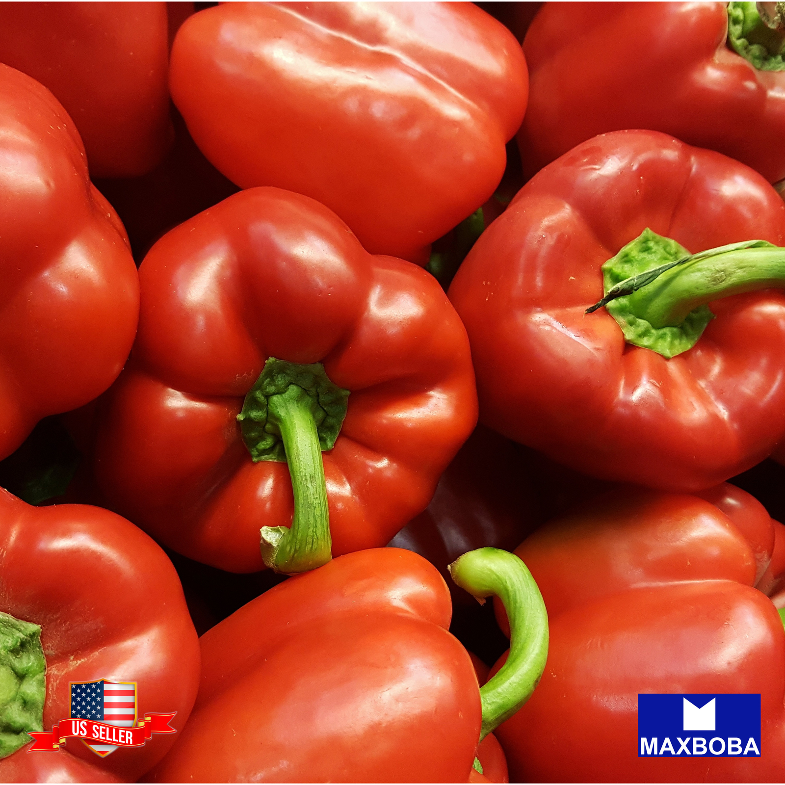 Pepper Seeds – Sweet – Big Red Non-GMO Heirloom Vegetable Garden