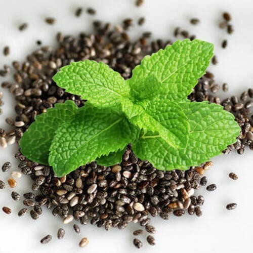 Peppermint Seeds, Herb-(Organic), FREE SHIPPING