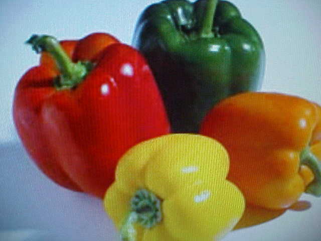 VARIETY PACK BULK SPECIAL with RED YELLOW GREEN ORANGE LARGE BELL PEPPER SEEDS