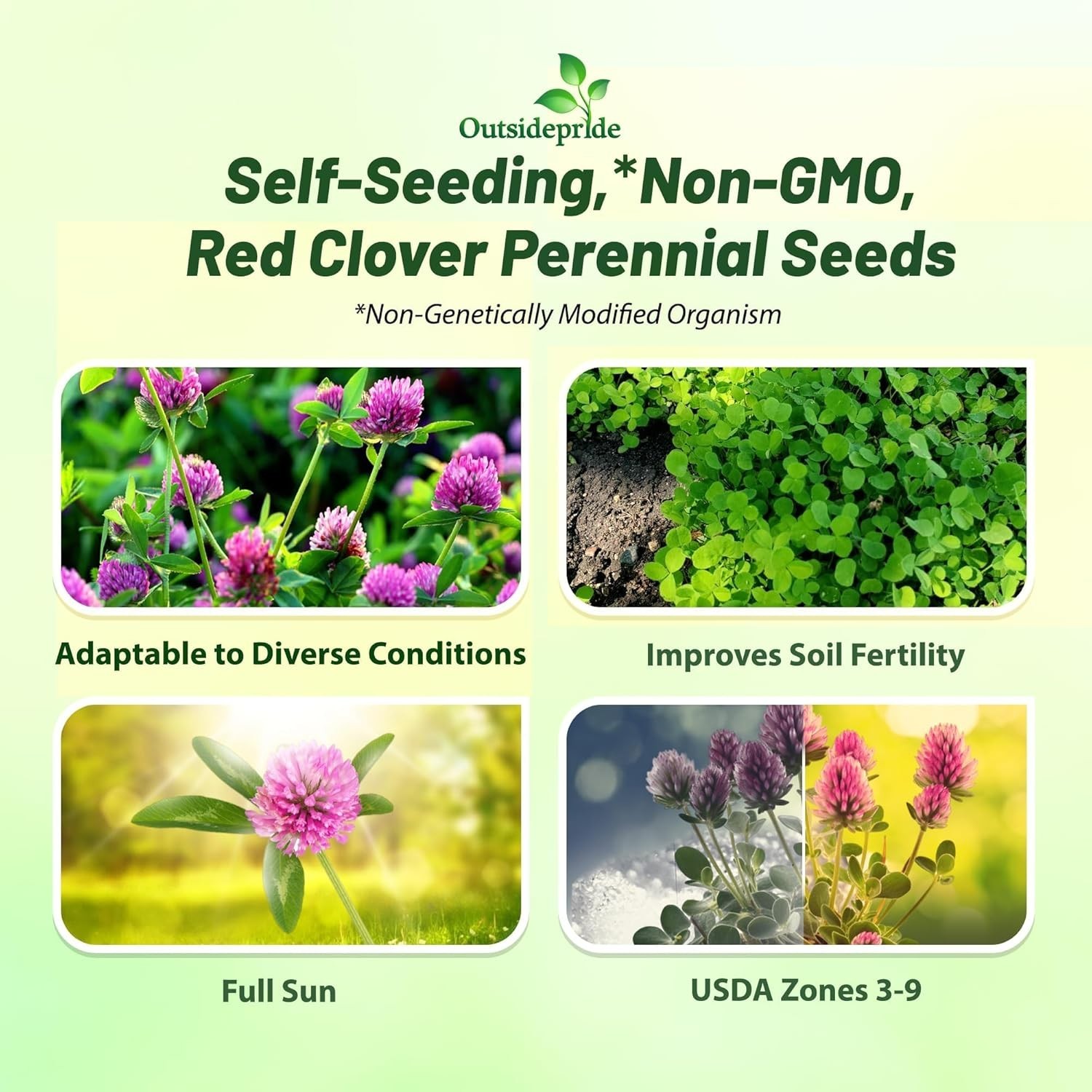 Self-Seeding Clover Seeds for Outdoor Use, Drought Tolerant & Nitrogen Fixation