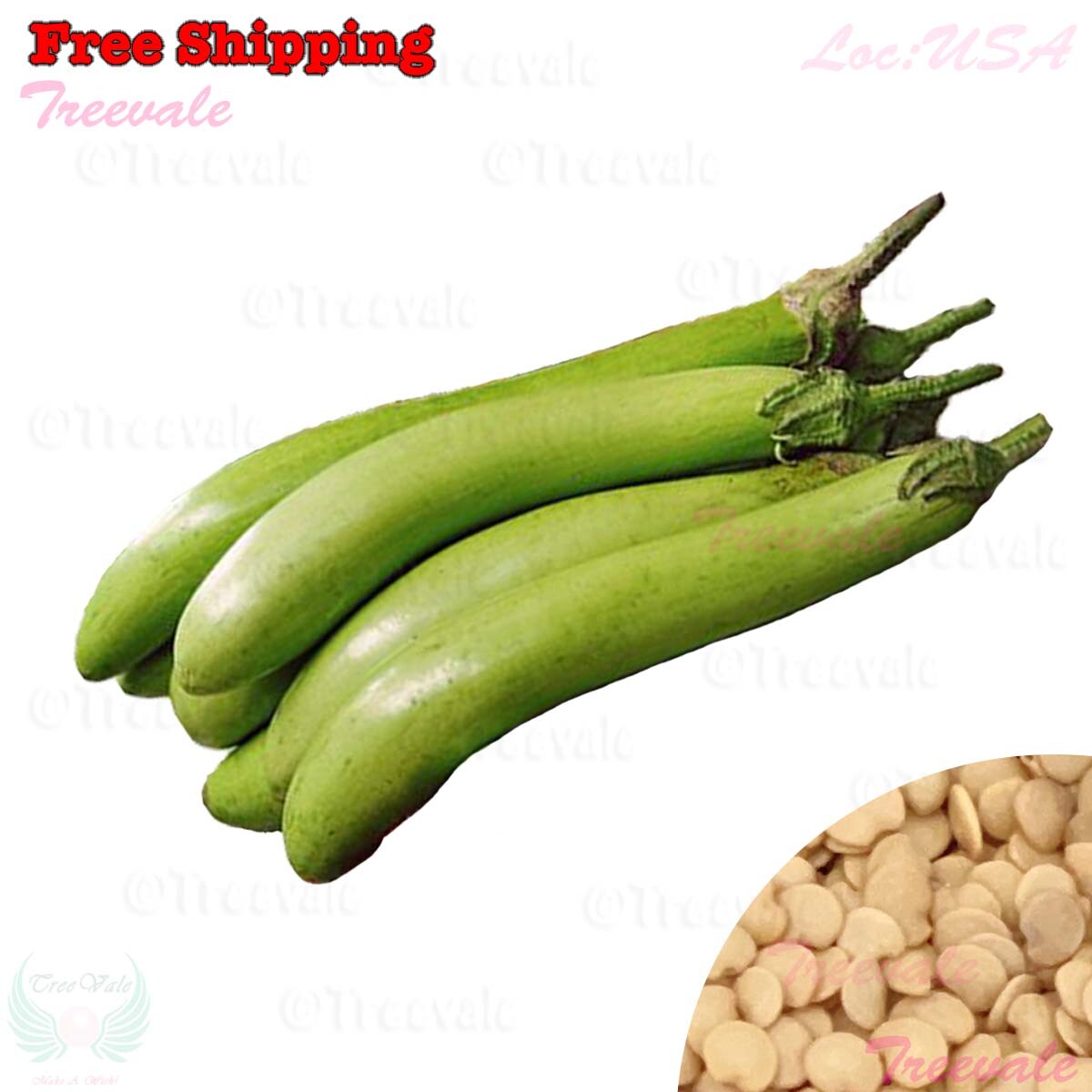 Thai Long Green Eggplant, Green Long Eggplant, Aubergine SEEDS | NON-GMO