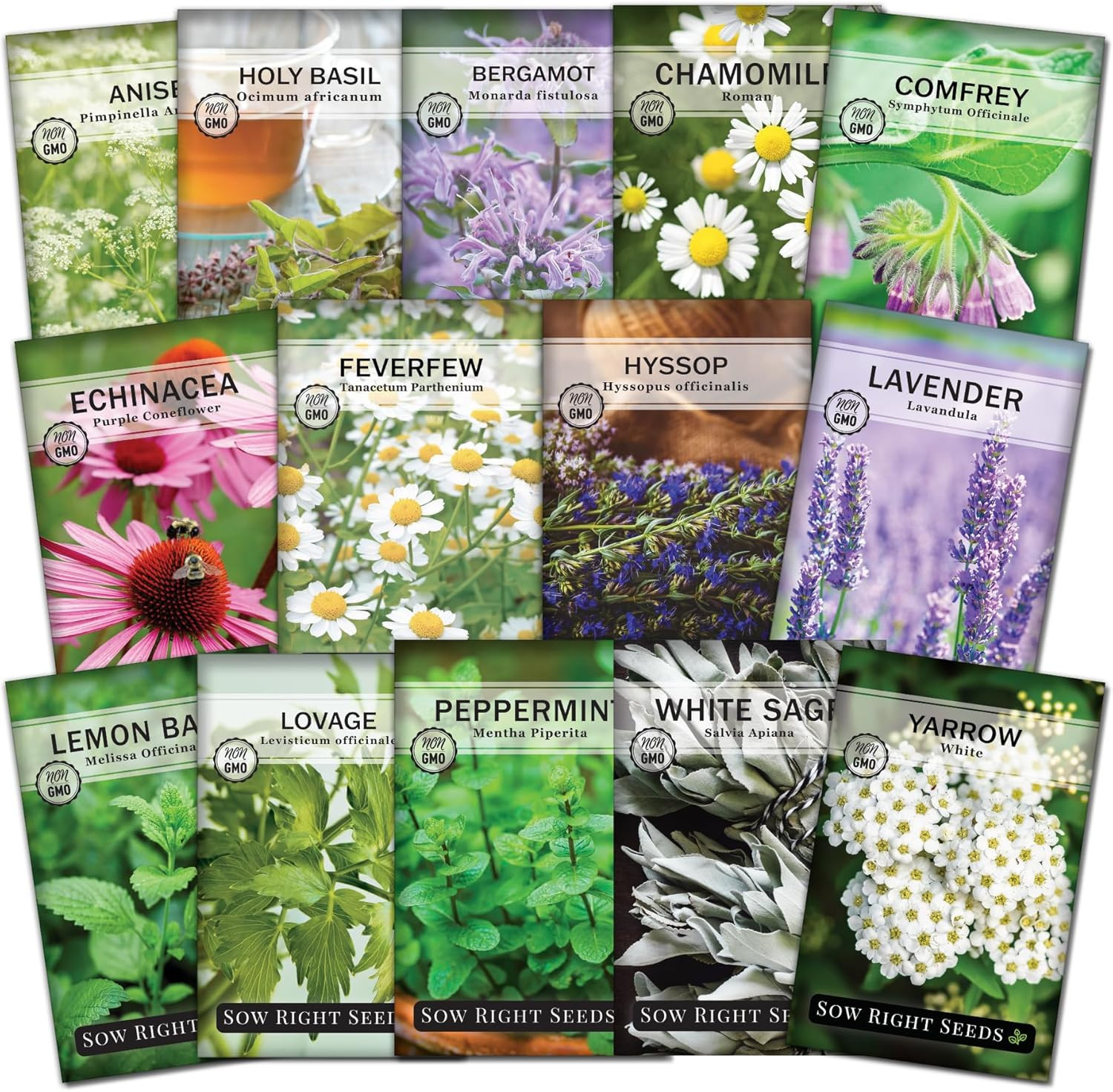 – Large Medicinal Herb Seed Collection for Planting – Chamomile, Echinacea, Lave