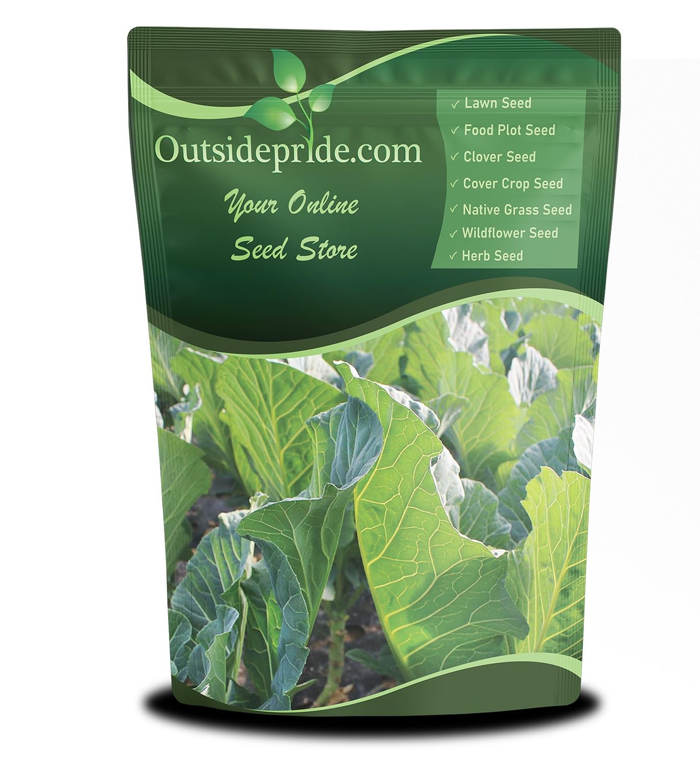 Bayou Kale Seeds – 5 lb. Annual, Versatile & Cold-Tolerant, Cover Crop Seeds …