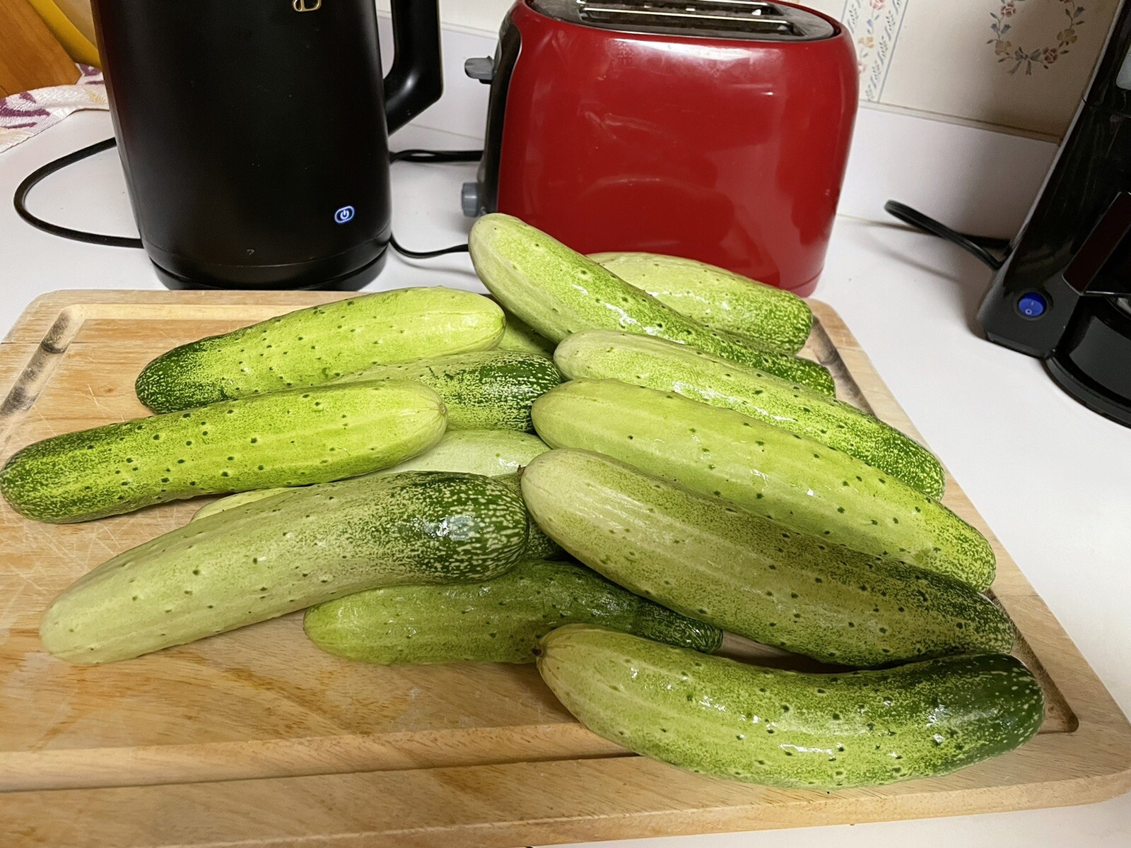25 organic Asian White /Green Sweet Crisp Cucumber seeds (2023 summer) 新鲜水果黄瓜种子