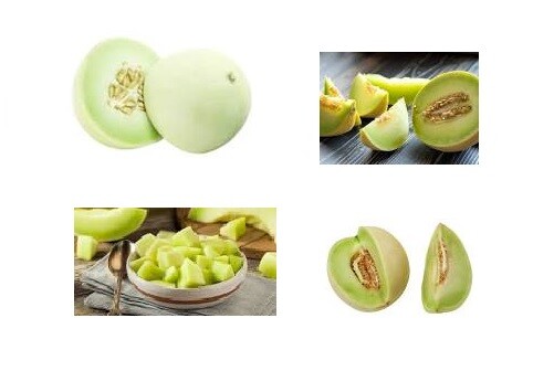 “BEST ON EBAY” 50 ORGANIC HONEY DEW MELON SEEDS FRESH HARVEST IN 2020, BIG