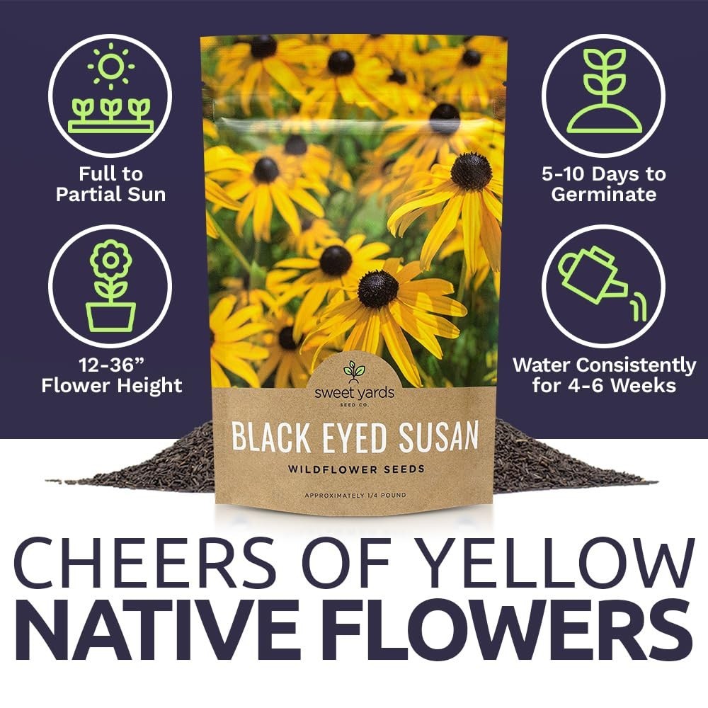 Bulk Black Eyed Susan Seeds – 1/4 lb Non-GMO Wildflower Seeds – 400,000+ Open Po