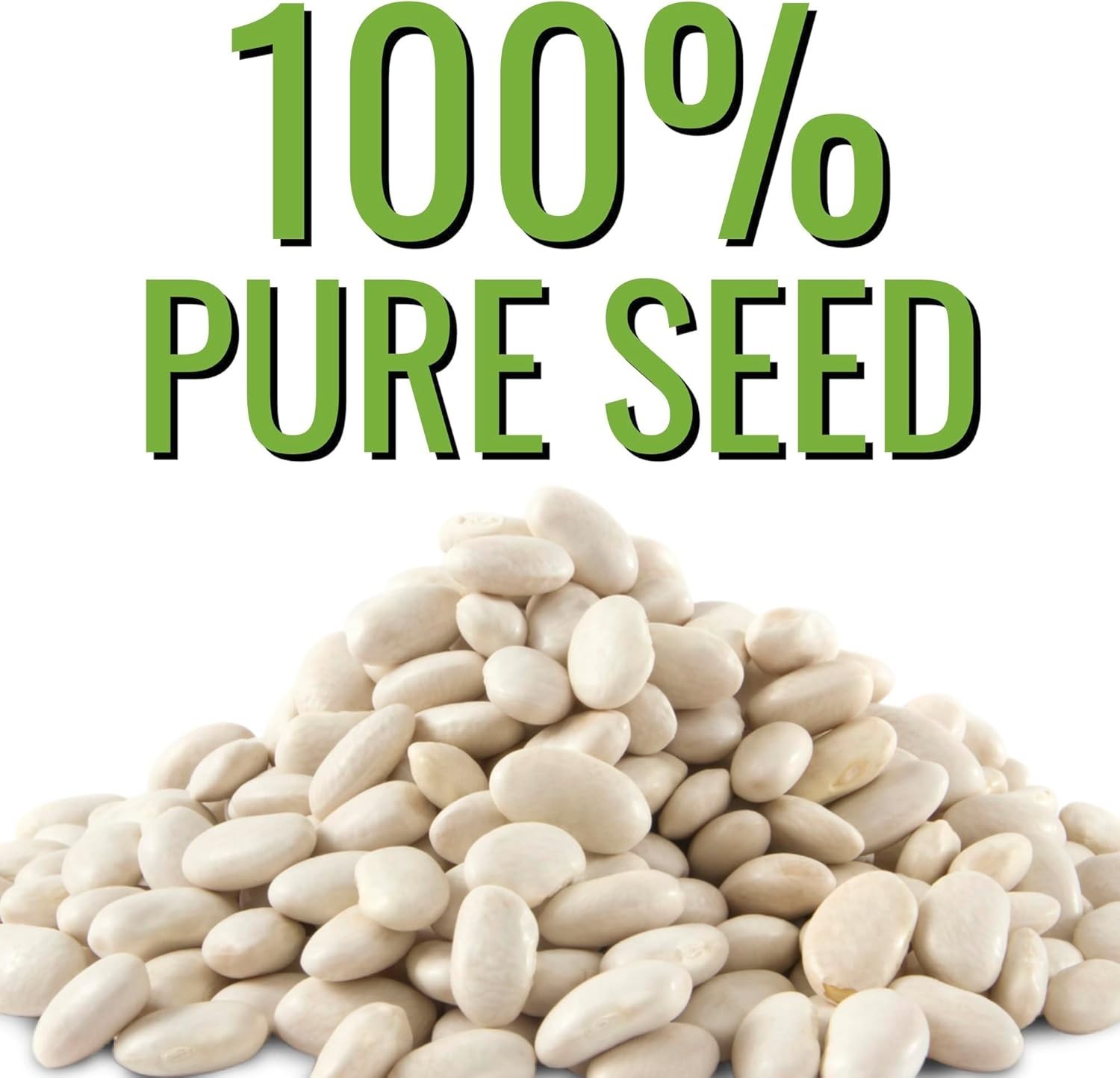 Henderson Lima Bean Seeds – Non-GMO Heirloom for Your Vibrant Vegetable Garden