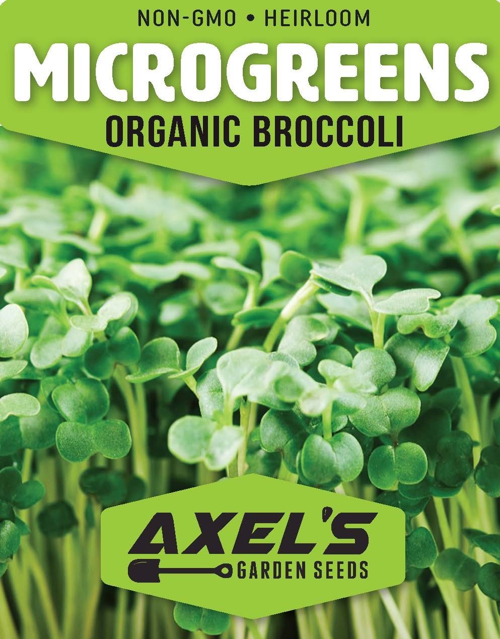 Organic Broccoli MICROGREEN Seeds | Heirloom Non GMO Sprouting Seeds