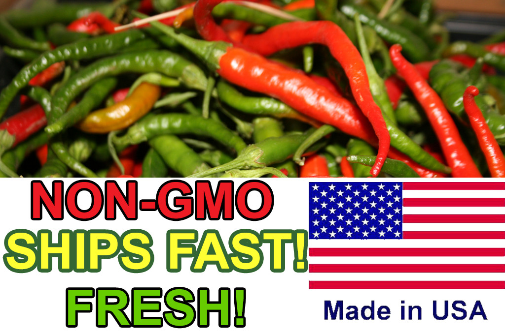 40+ Hot Cayenne Long Slim Pepper Seeds | NON-GMO Hierloom | Fresh Pepper Seeds