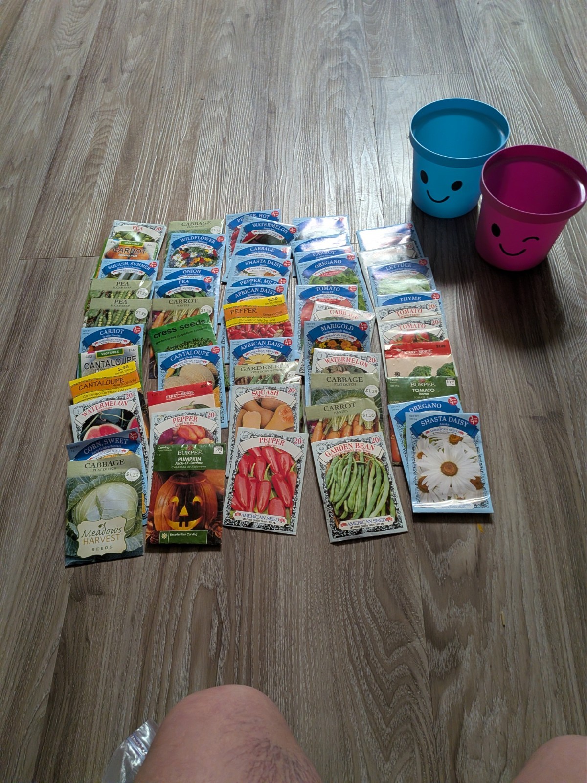 Gardening Seeds Assorted Lot