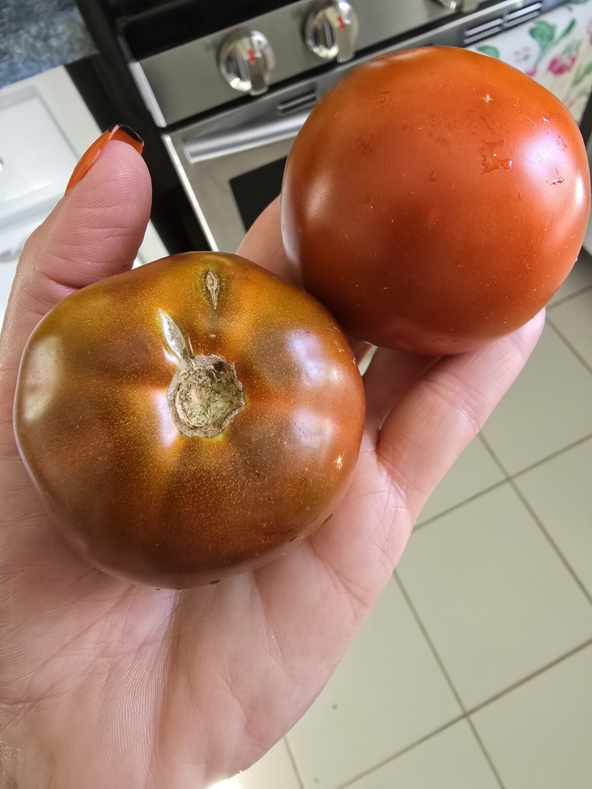 Brown Sugar Tomato Seeds 10 Organic Seeds *Free Shipping*
