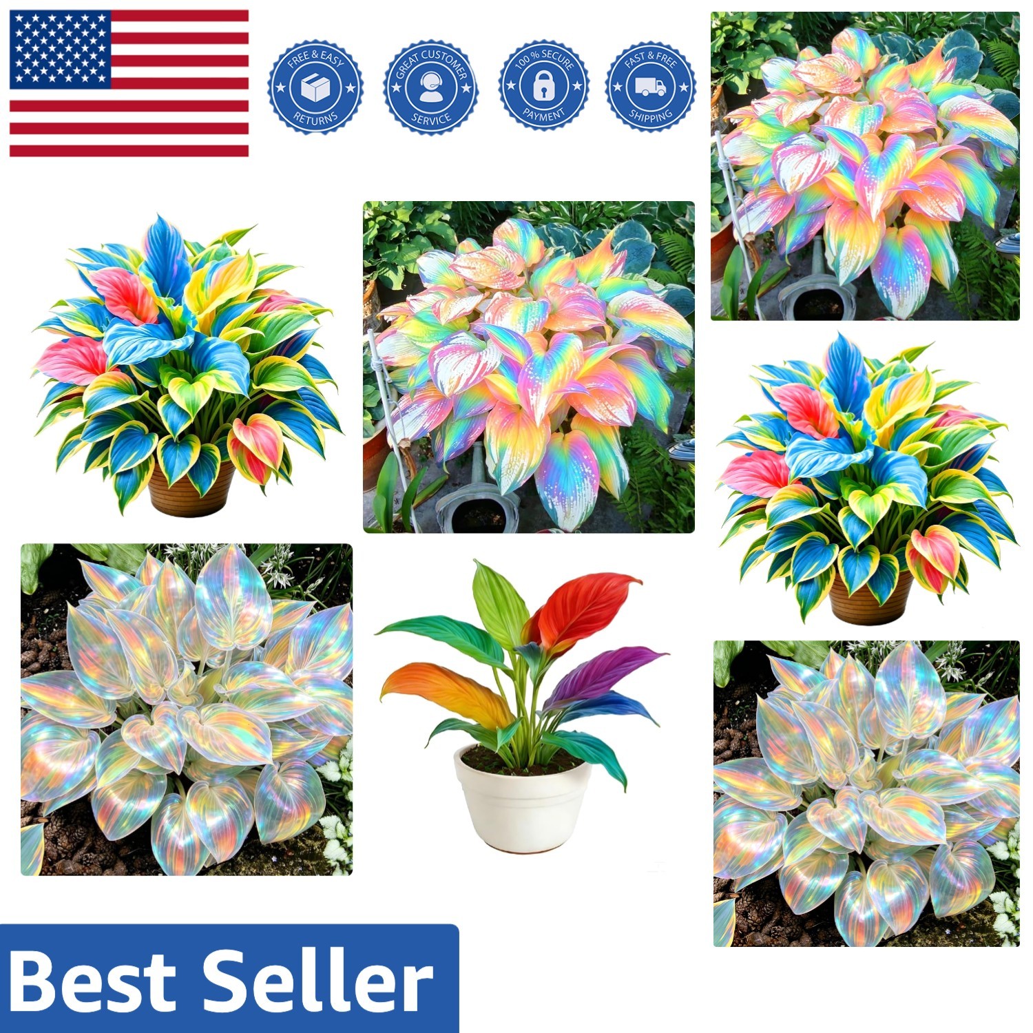 High Germination Non-GMO Hosta Seeds for Beautiful Shaded Gardens – 290+ Count