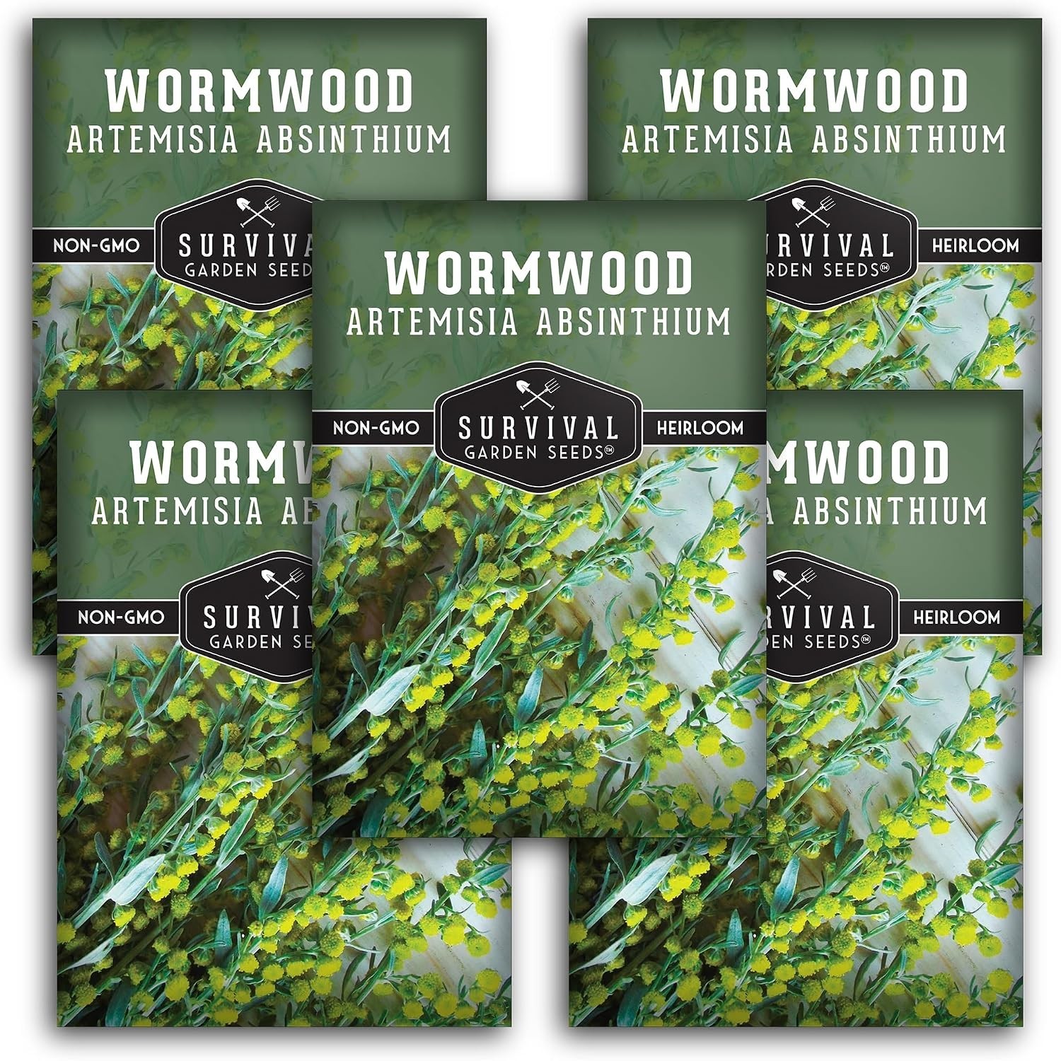 5-Pack Heirloom Wormwood Seeds – Deer Resistant Medicinal Herb for Home Gardens