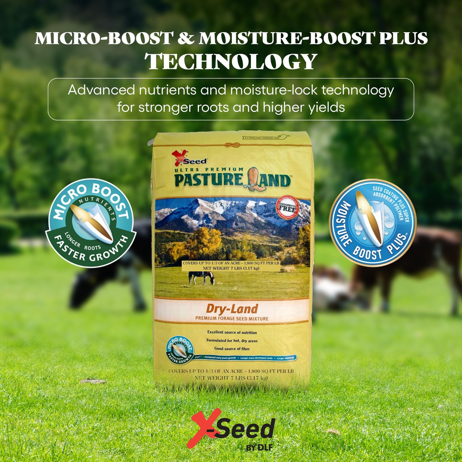 “Dry-Land Forage Seed Mixture for Livestock Nutrition – 7 lb Tall Fescue &