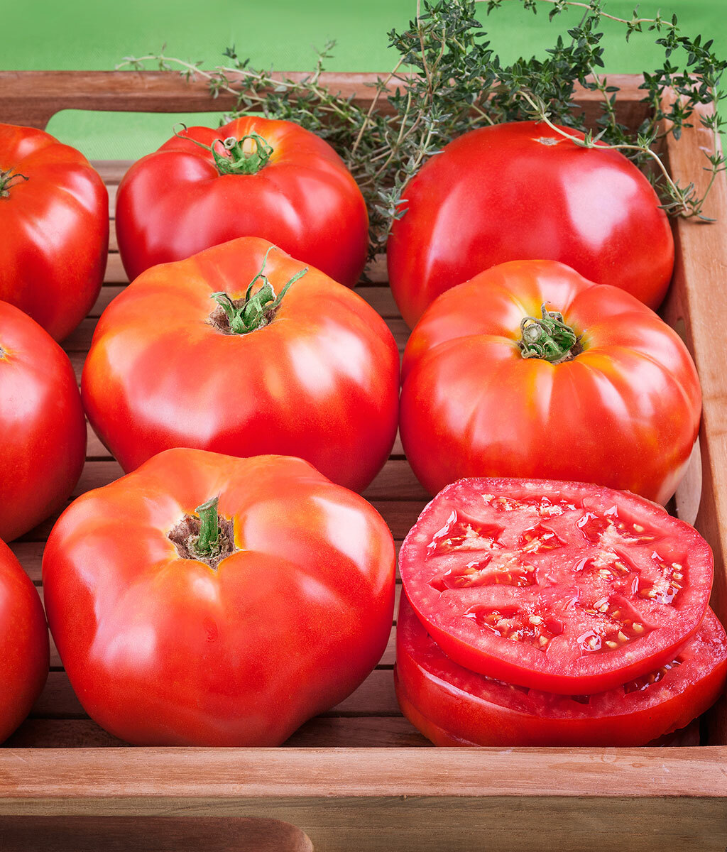 #4 Heirloom Vegetable 150+ seeds 6 Variety Garden Set Emergency Survival NON-GMO