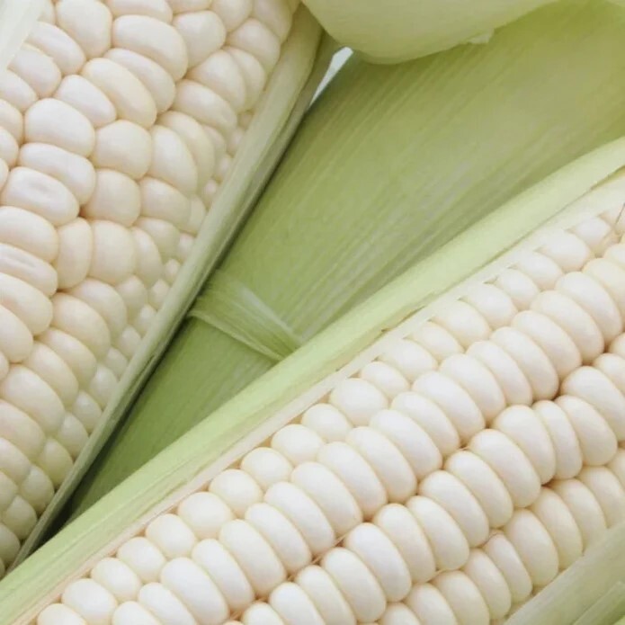 50pcs Sweet White Corn Seeds – Heirloom, Sweet, Open-Pollinated, Non-GMO