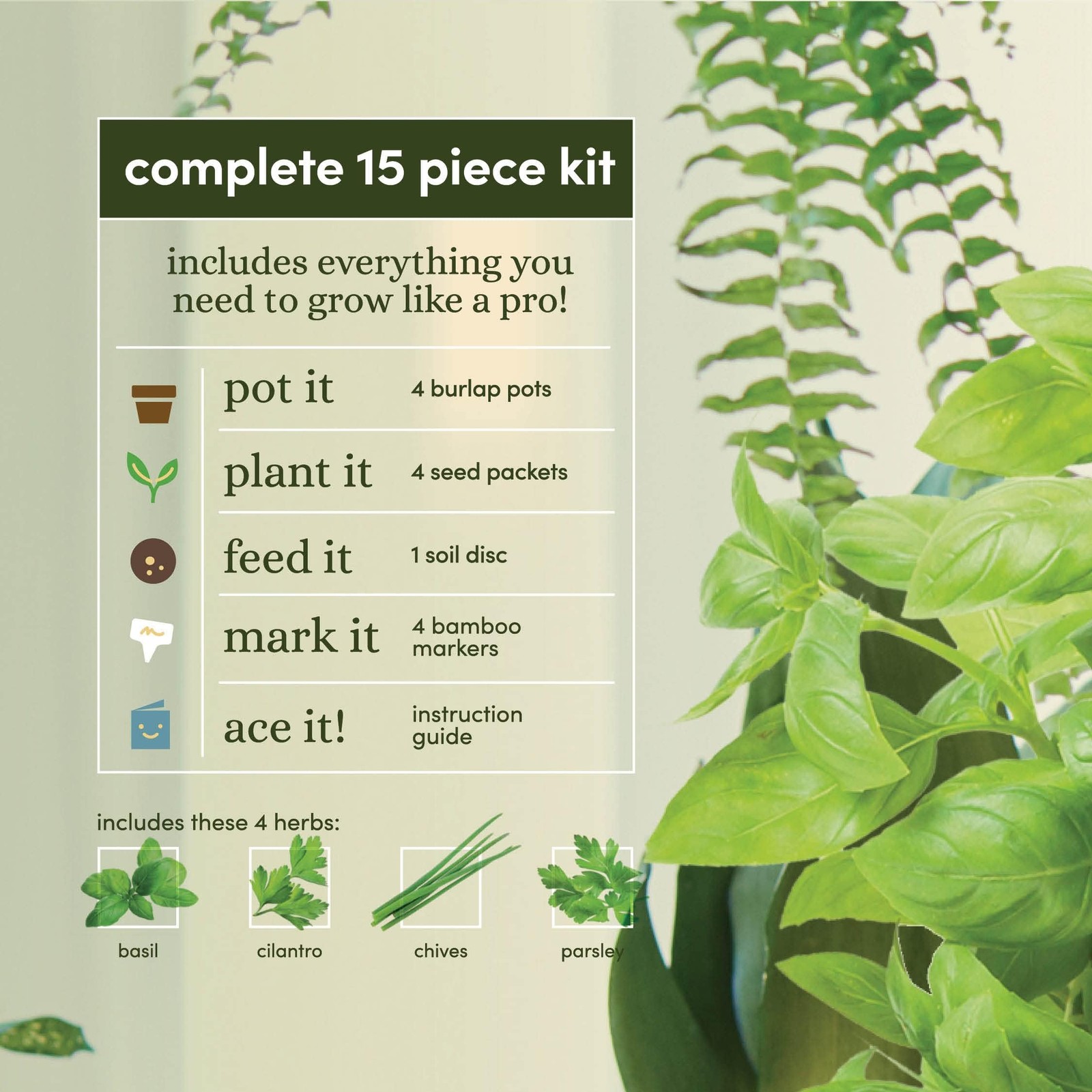 Indoor Herb Garden Starter Kit – Coolest Gifts for – for Her – House Warming …