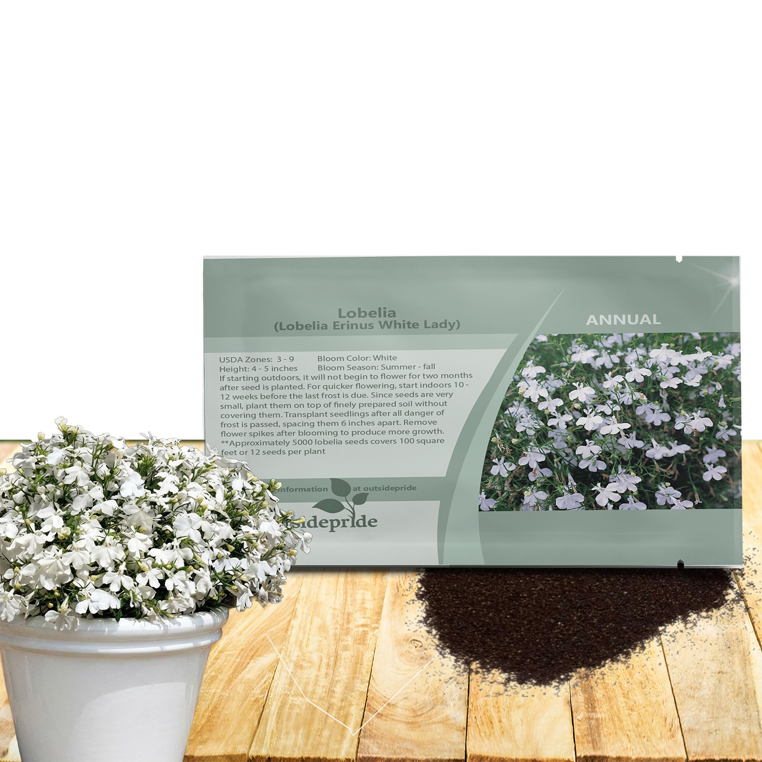 5000 Seeds Lobelia Seeds – Lobelia Erinus White Lady Ground Cover Seed