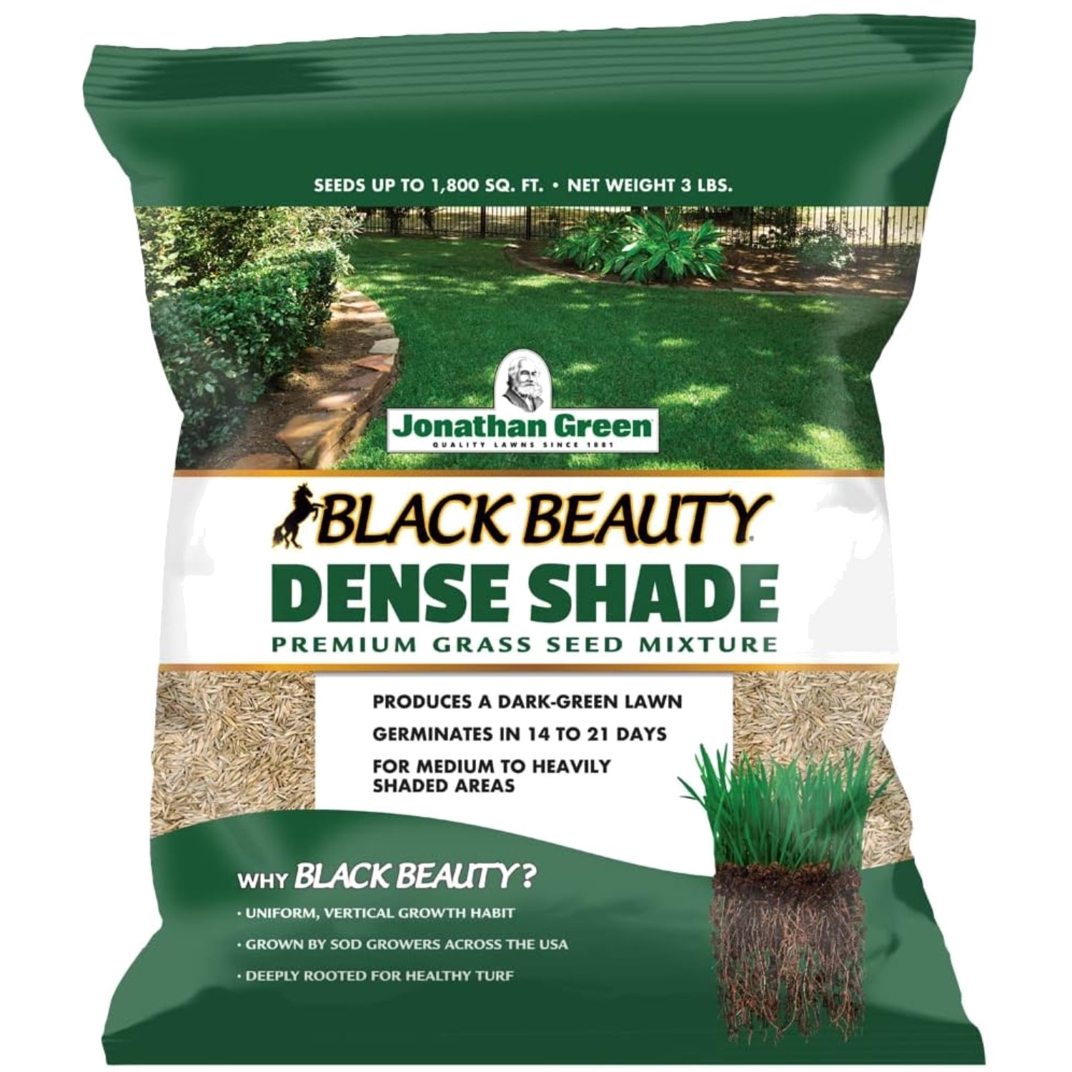 Cool Season Grass Seed Mix – 4 Types for Balanced Growth in Partial Sun