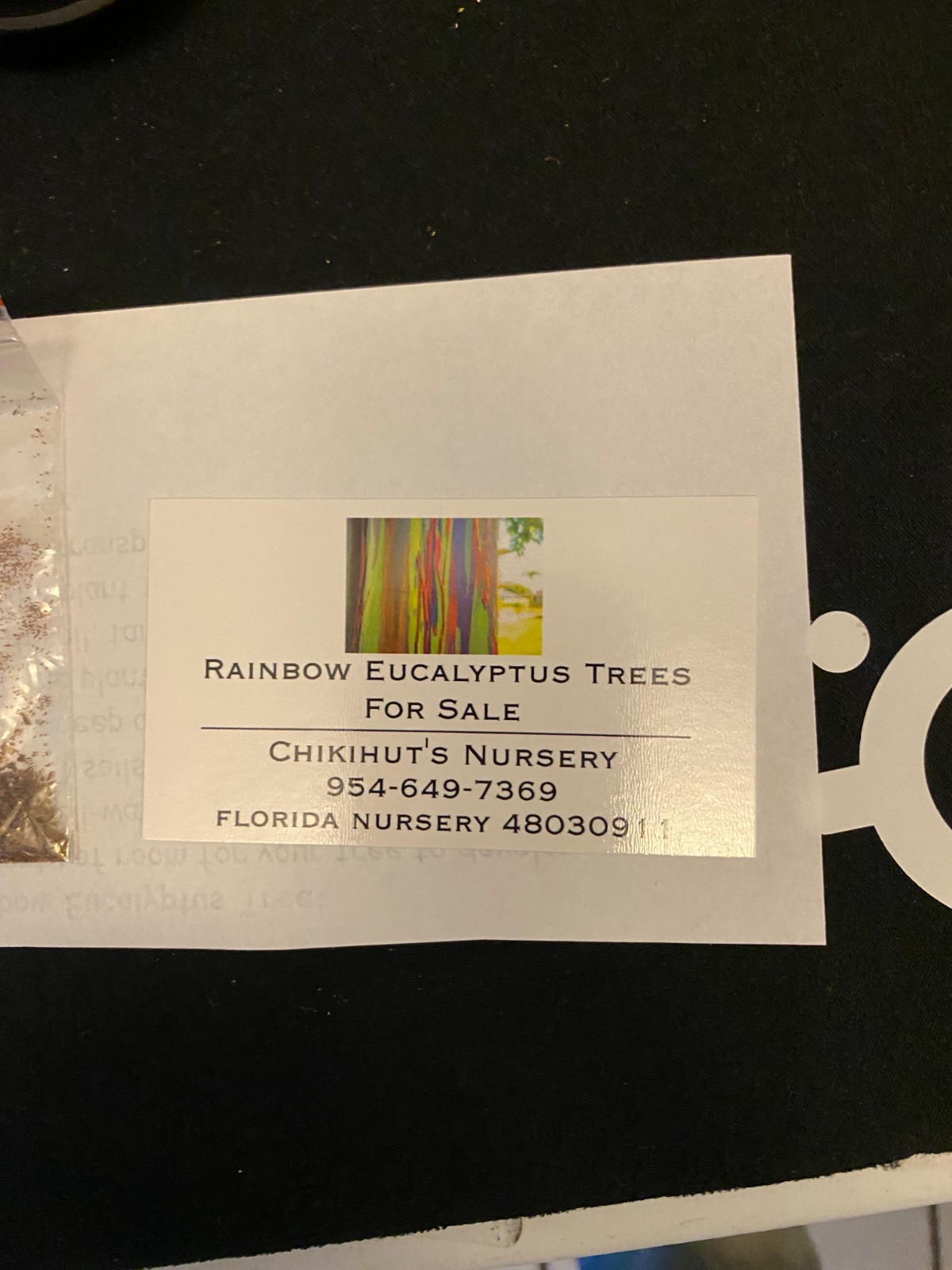 Rainbow Eucalyptus seeds