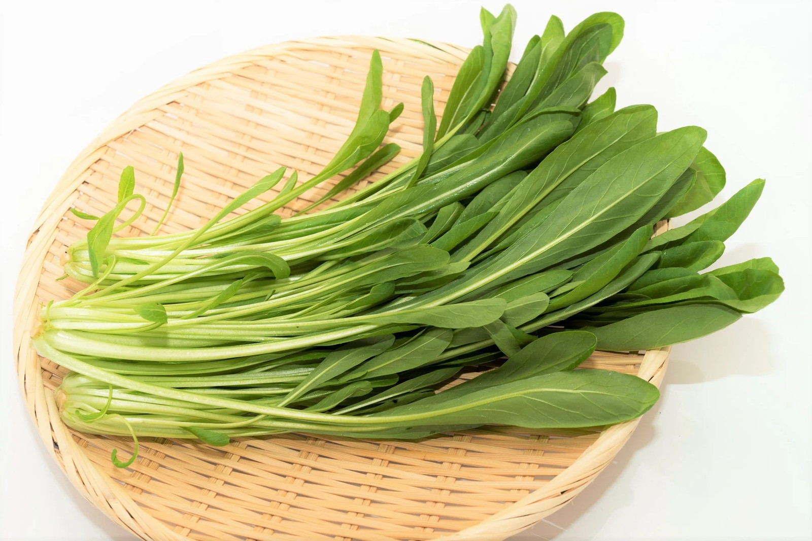 Mibuna Mustard Greens Seeds | みぶな Japonica Dento Yasai Mizuna Japanese Seed 2024