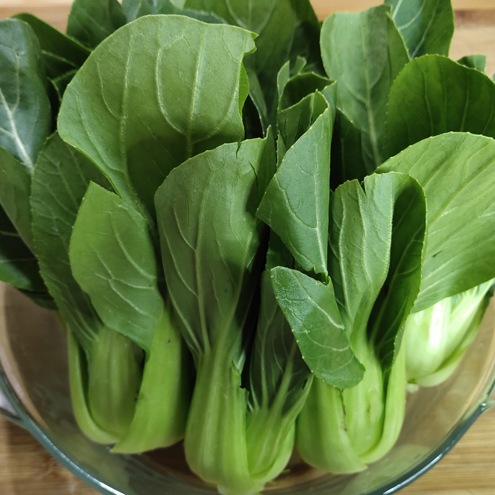 Brassica -Atlas Crisp