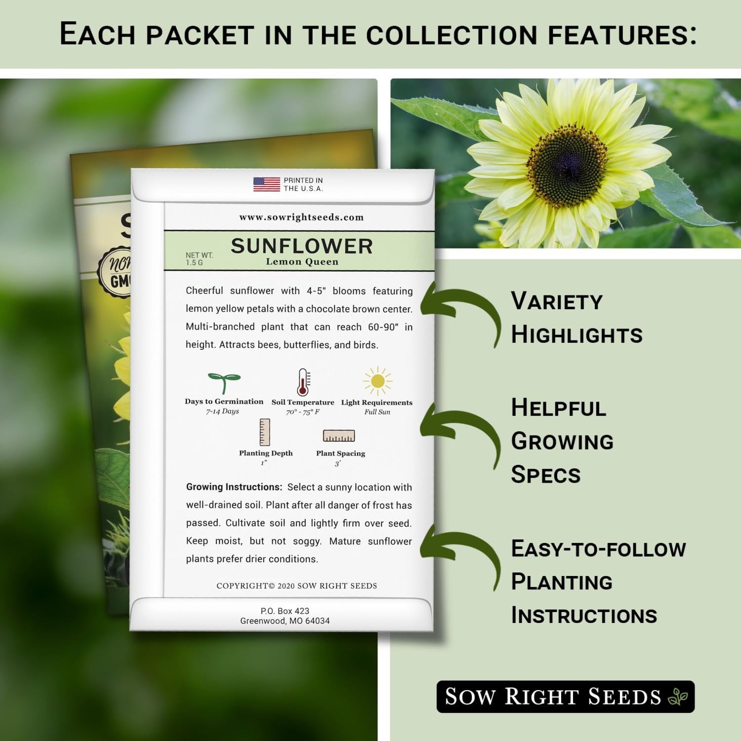 Large Sunflower Seed Collection 6 Varieties NonGMO Heirloom for Garden Planting