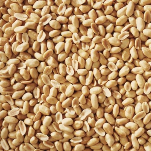Happy Wings Shelled Peanuts Seeds Wild Bird Food – 5 Pounds I No Grow Seed I …