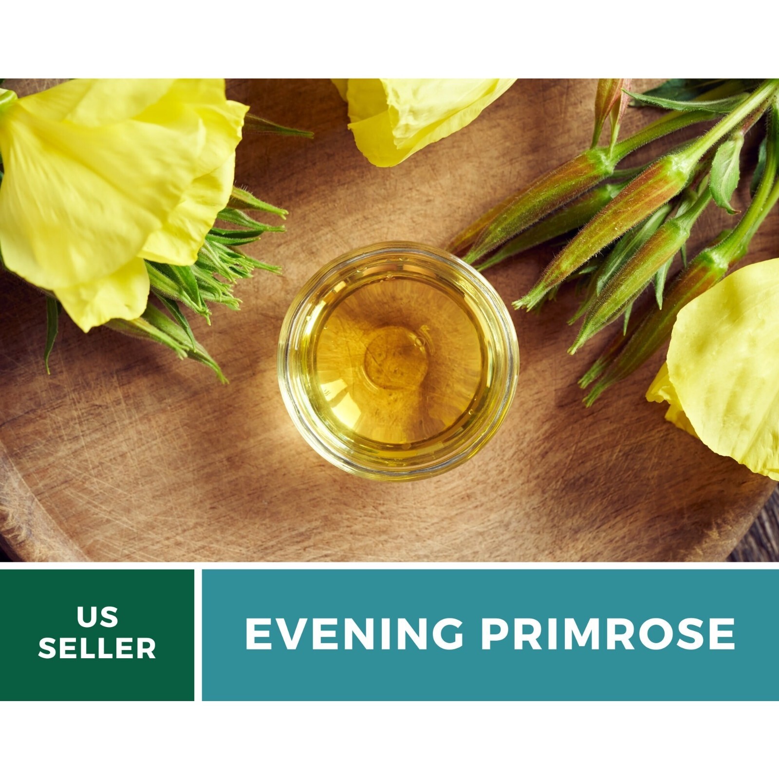 Evening Primrose seeds – Heirloom Flower (Oenothera biennis)