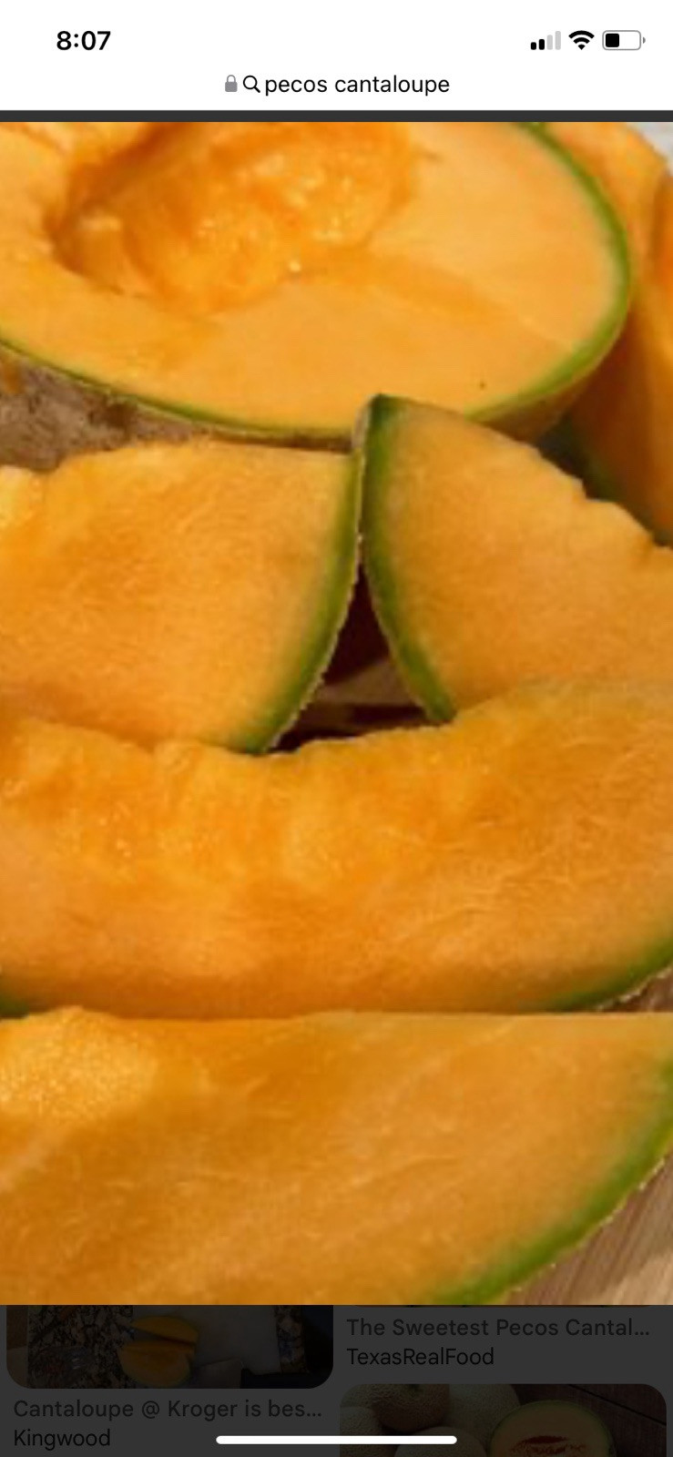 Watermelon Seeds Red-Yellow-Orange Meat Pecos Cantaloupe Seeds 100 Seed Mix Pac