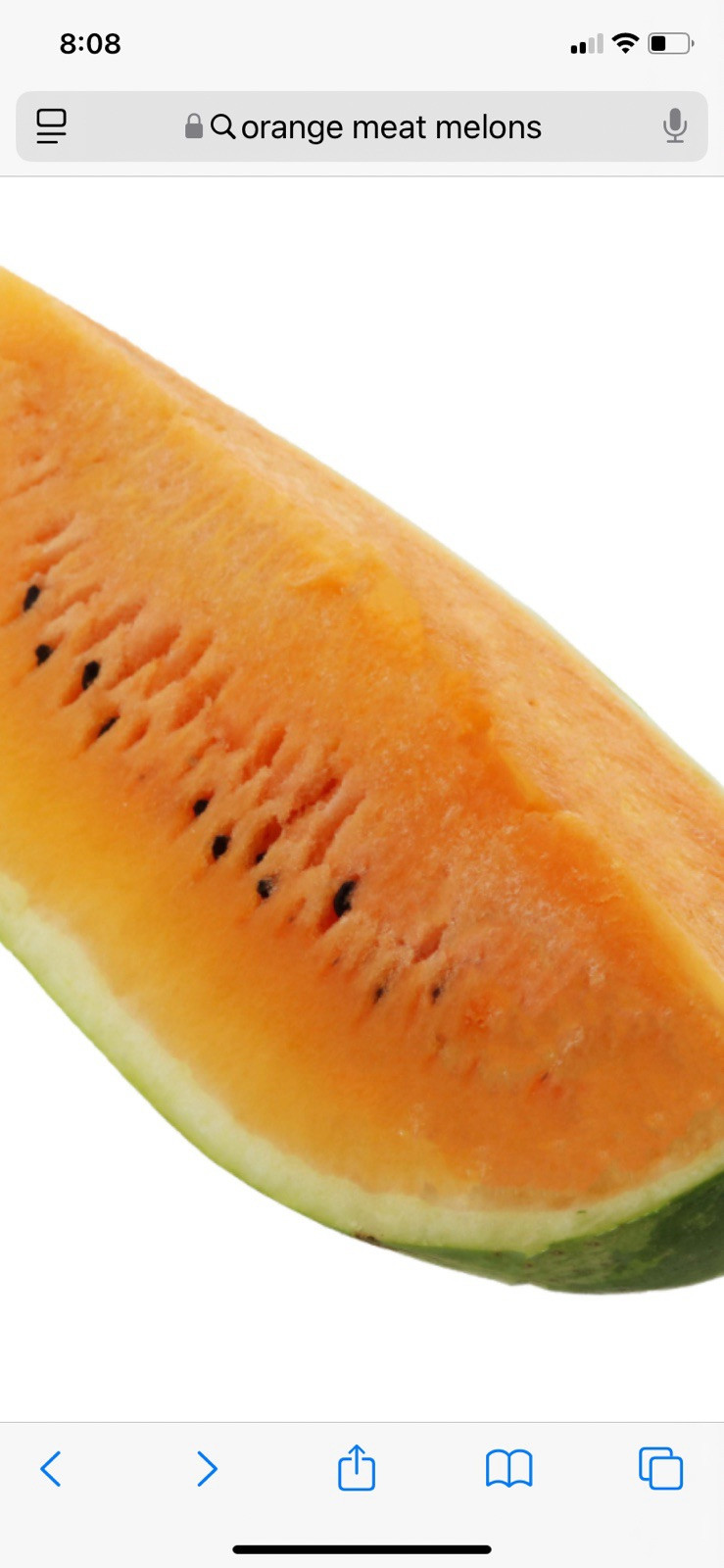 Watermelon Seeds Red-Yellow-Orange Meat Pecos Cantaloupe Seeds 100 Seed Mix Pac