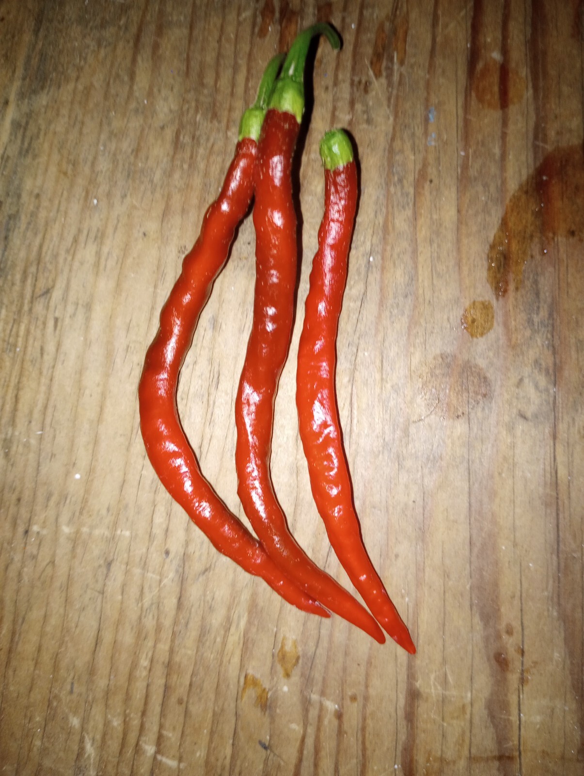 Cayenne Long THIN 15 seeds 2023 Season Fresh Batch Heirloom Variety Nice Heat