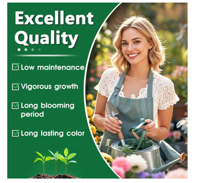 80+ Hosta Seeds Rare Perennial Shade Plants Non GMO Hardy Garden Grow