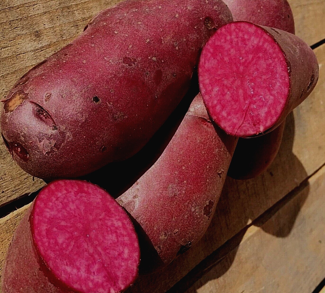Very Rare True Potato Seeds TPS Purple Majesty Reds Blue Color Mix Potato Berry