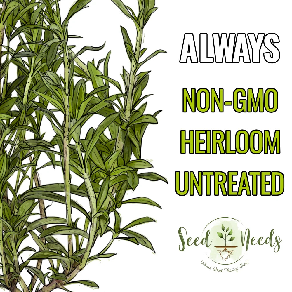 Summer Savory Herb Seeds For Planting (Satureja hortensis)