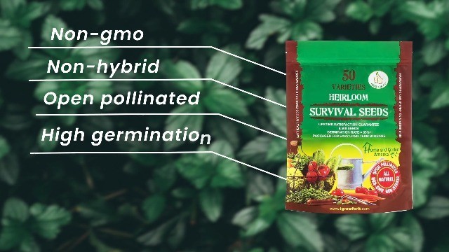 Heirloom Vegetable Seeds 50 Varieties Non GMO Survival Seed Kit 9500 Seeds