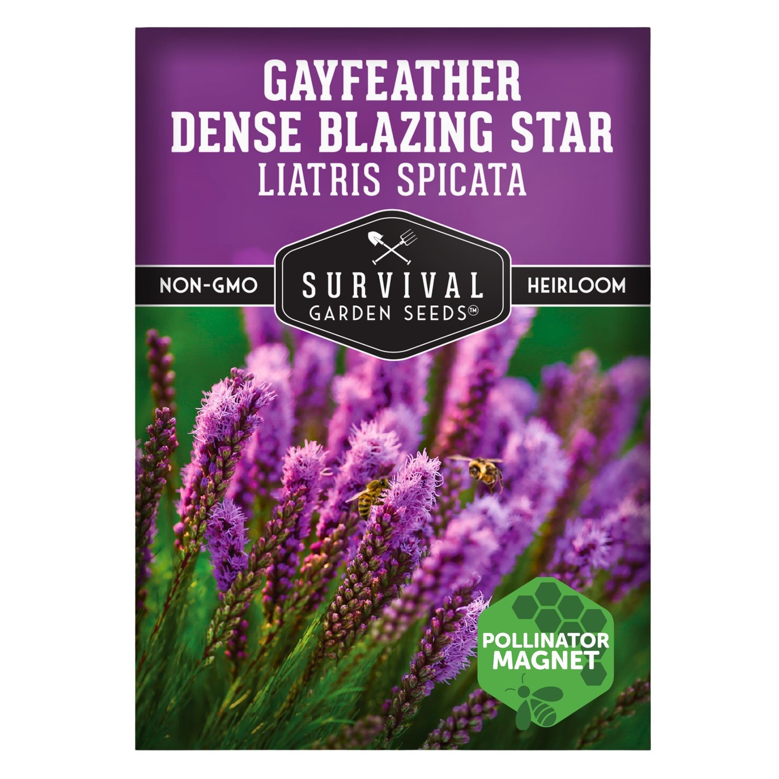– Dense Blazing Star (Liatris spicata) | Gayfeather | Prairie Feather | North…