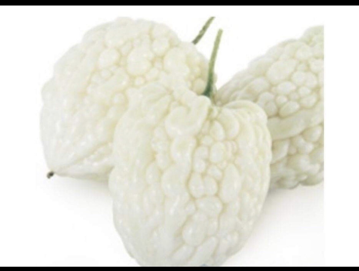 20 Seeds Very RARE WHITE APPLE BITTERMELON F1 Seeds from Known You