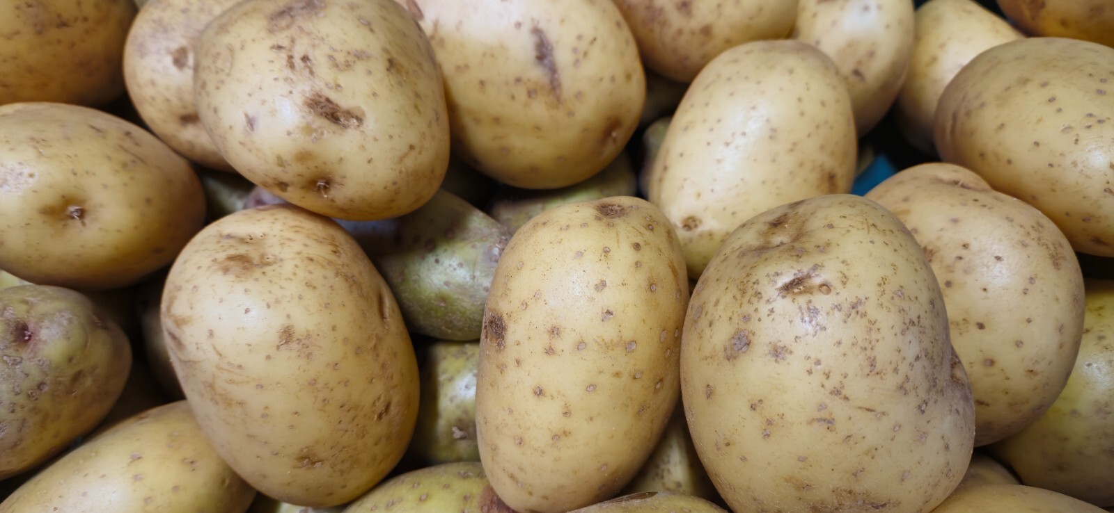 Rawjoy Fresh Russet Idaho Potatoes 5 Pounds