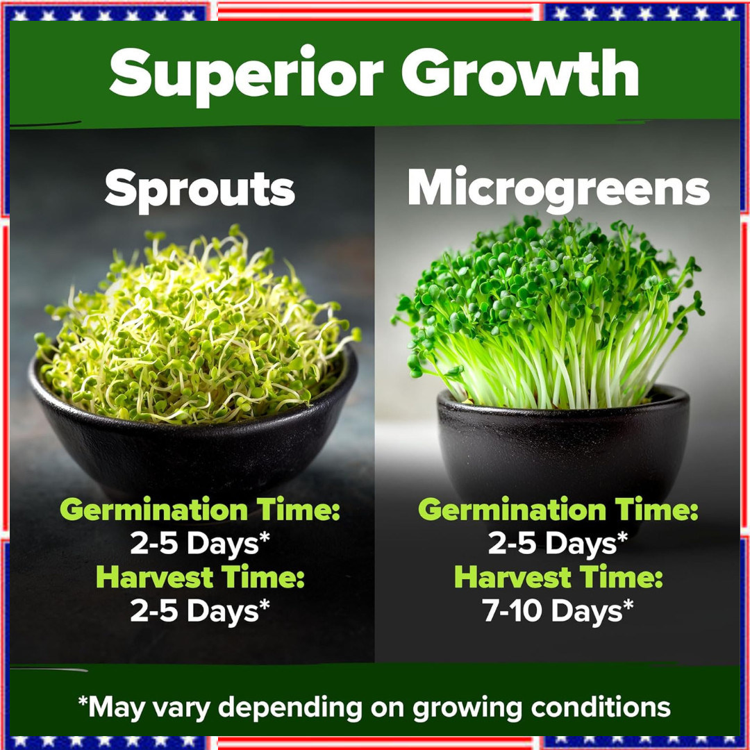 Broccoli Sprouting & Microgreens Seeds – 64,200 Non-GMO Heirloom