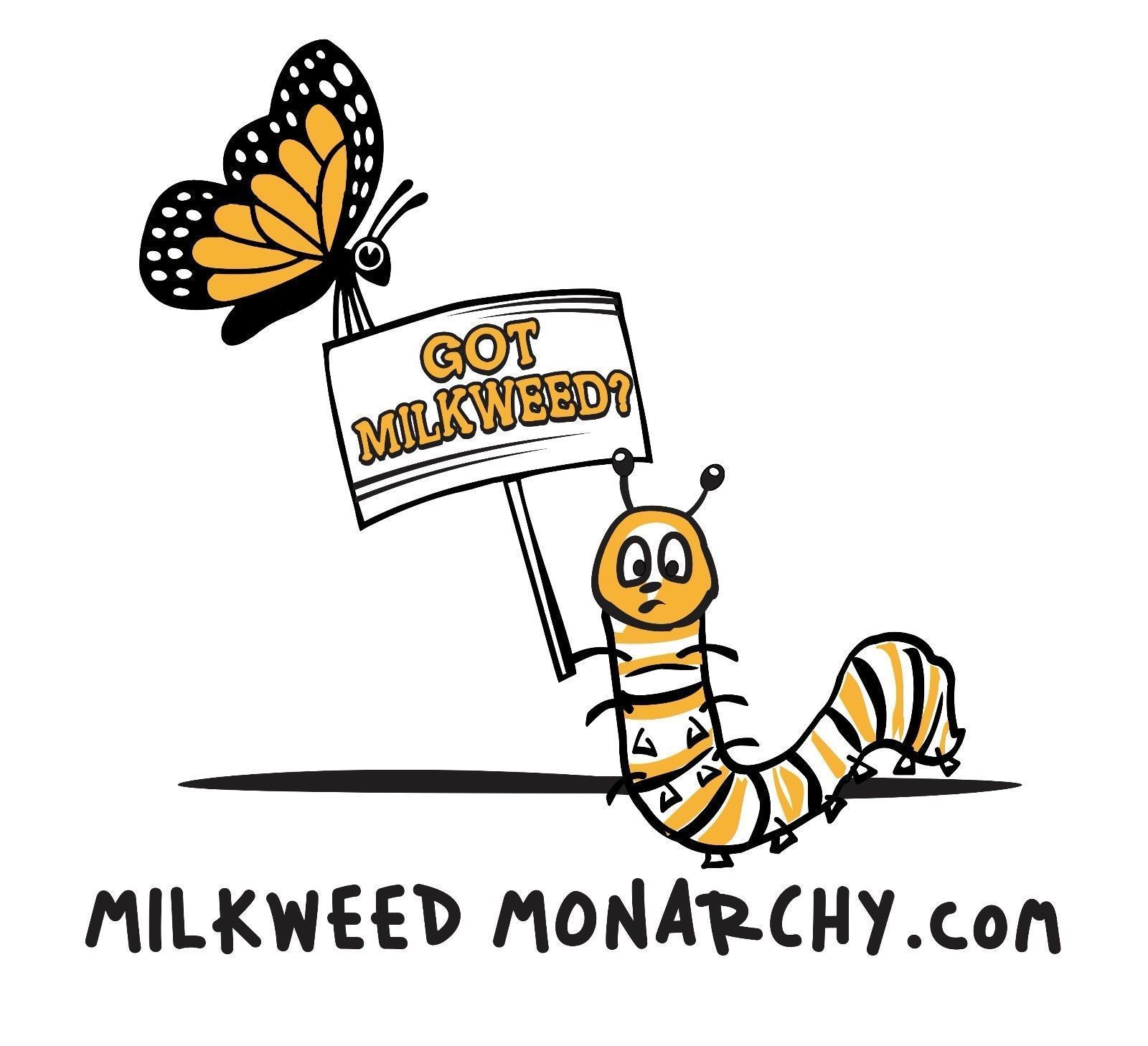 10 oz (31k+) Common Milkweed Seeds (Asclepias syriaca), Organically Grown in PA