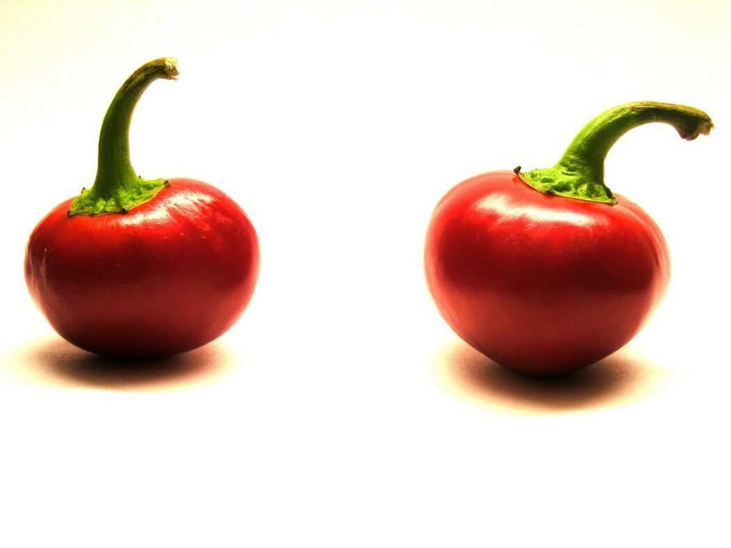 SWEET RED CHERRY PEPPER SEEDS NON-GMO SUPER FLAVOR GREAT FOR PICKLING tastee!