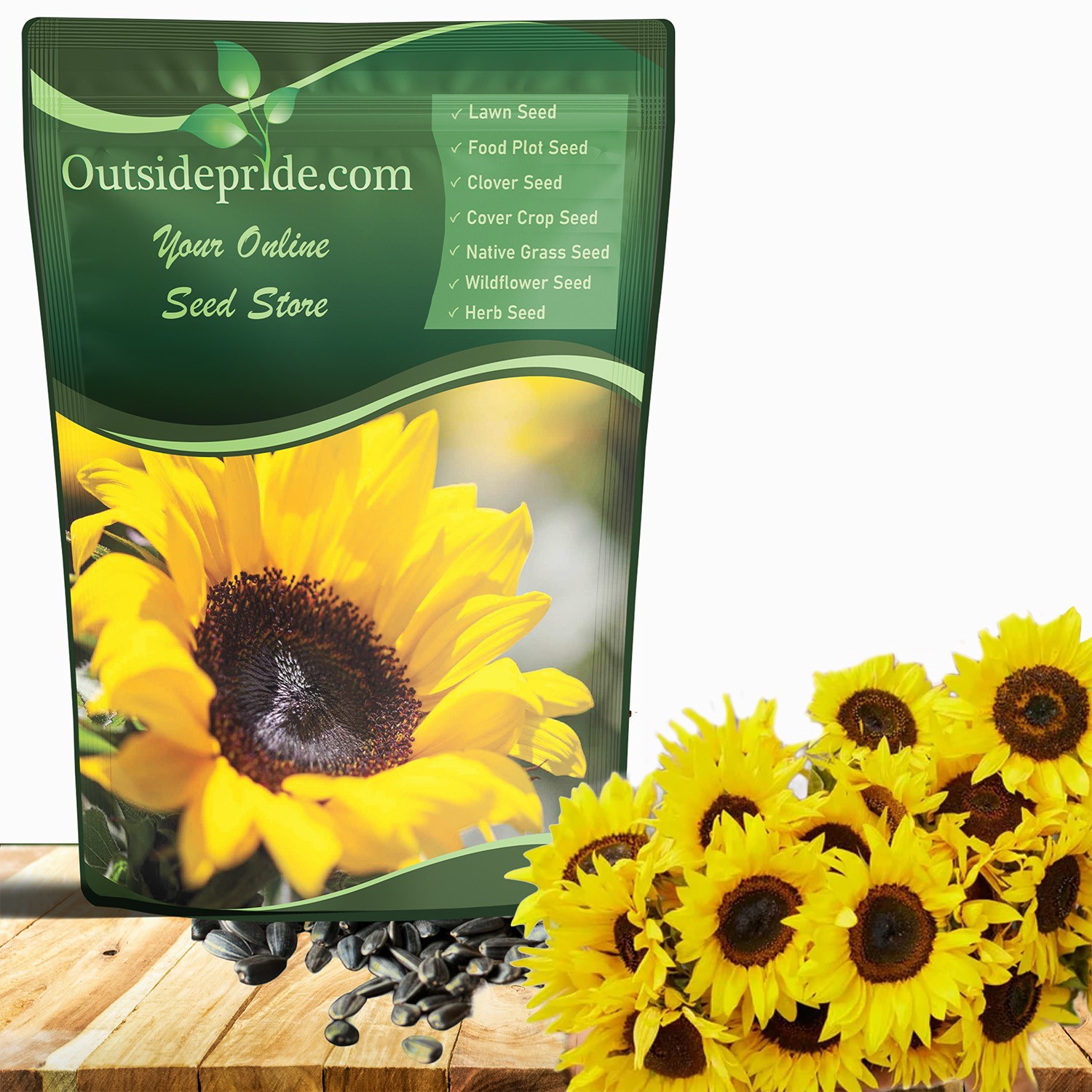 1 LB Sunflower Seed – Sunflower Sunspot Dwarf Flower Seeds