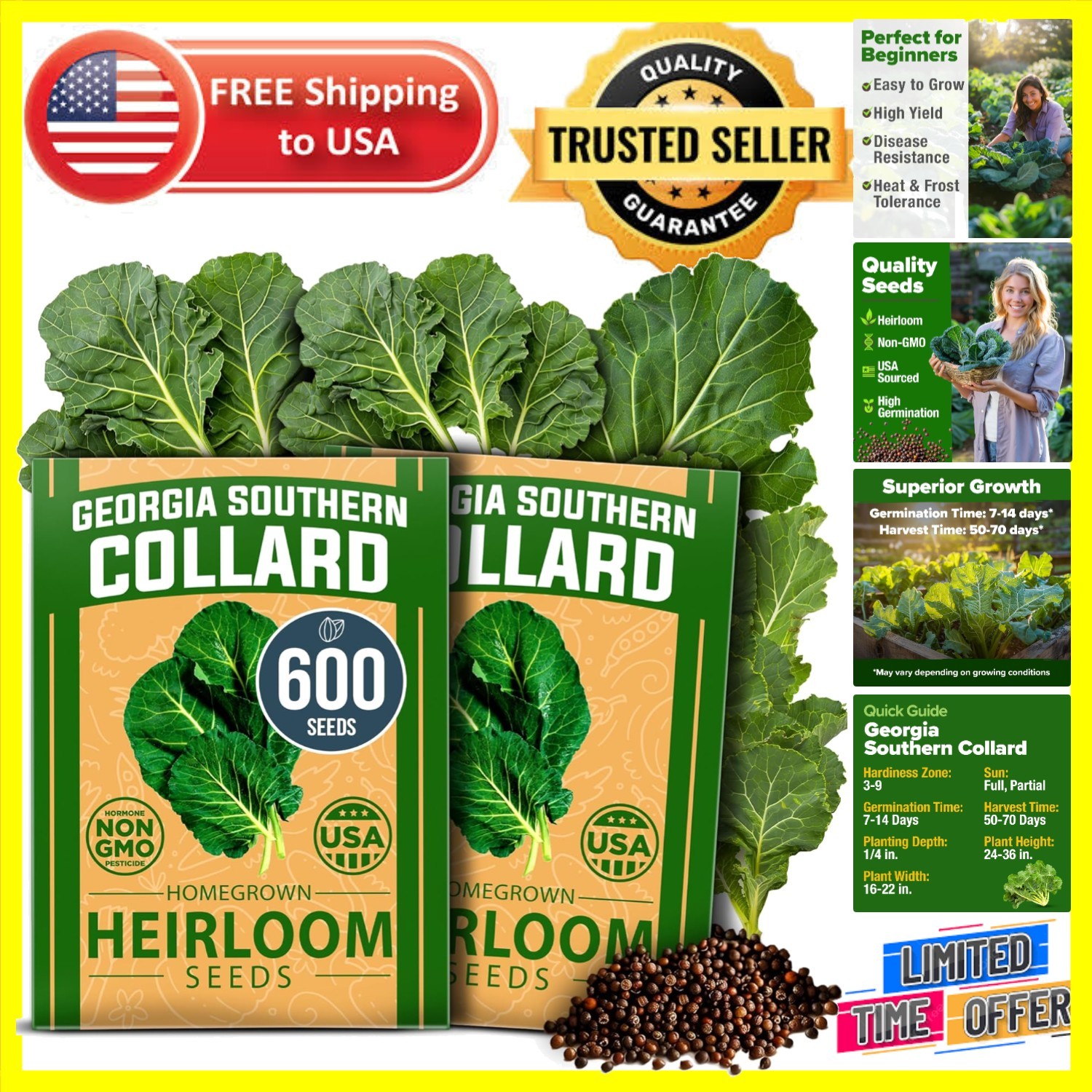Georgia Southern Collard Green Seeds – 600 Non-GMO Heirloom for Bountiful Yields